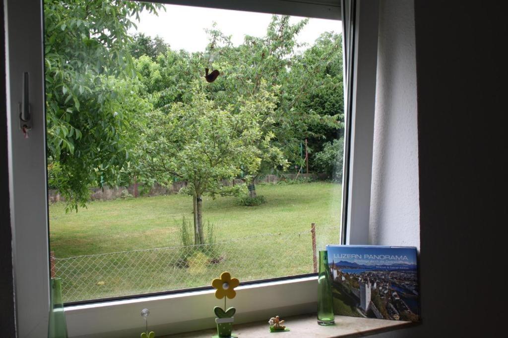 カッセルCasa Mya Flat With Gardenaccess And Terraseアパートメント エクステリア 写真